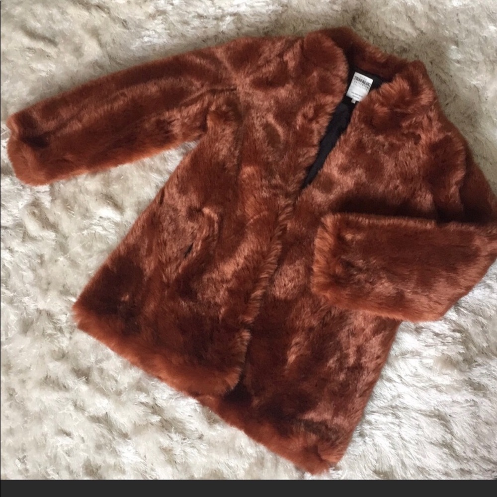Zara faux fur coat
